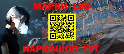 стаф Можга