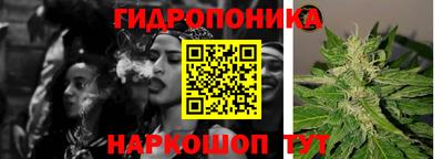 стаф Можга