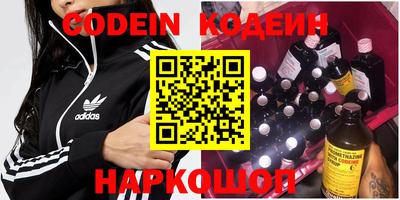 стаф Можга