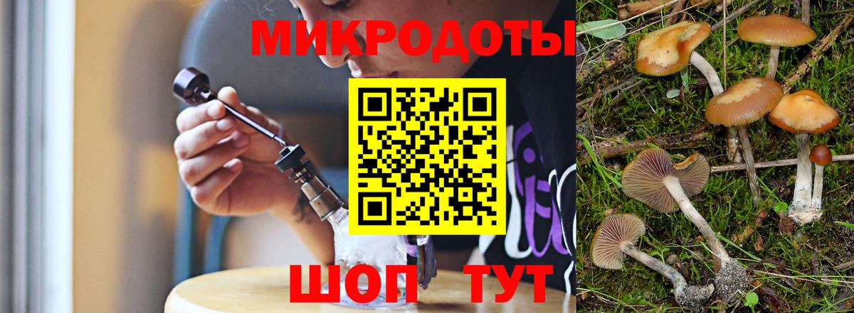 Псилоцибиновые грибы GOLDEN TEACHER  Галлюциногенные грибы Psilocybe  Славянск-на-Кубани  Вход с VPN 