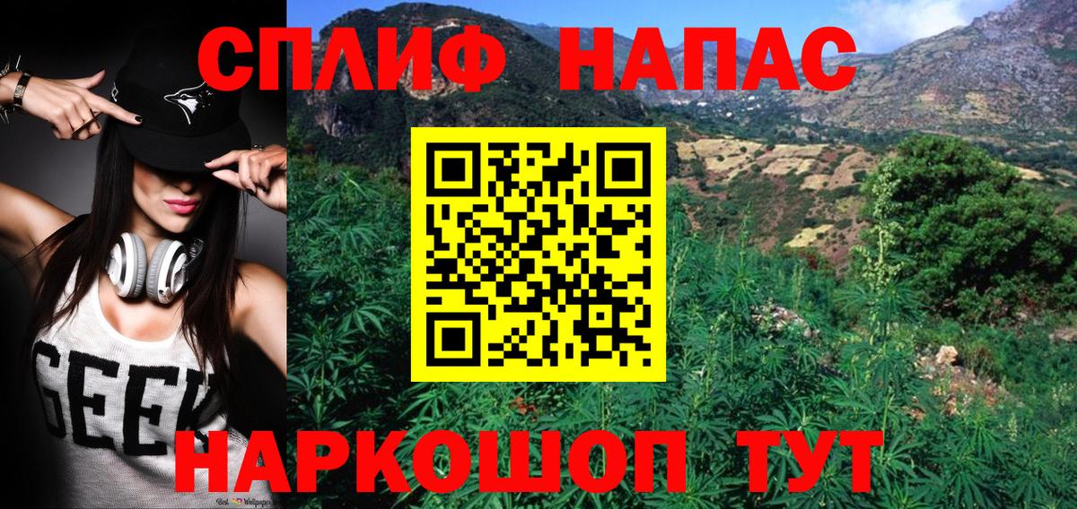 Конопля MAZAR Славянск-на-Кубани